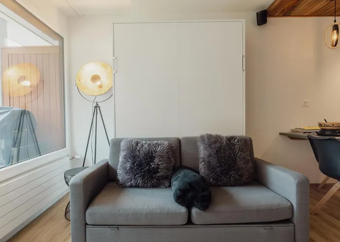 Renove Et Elegant En Plein Centre Apartment *