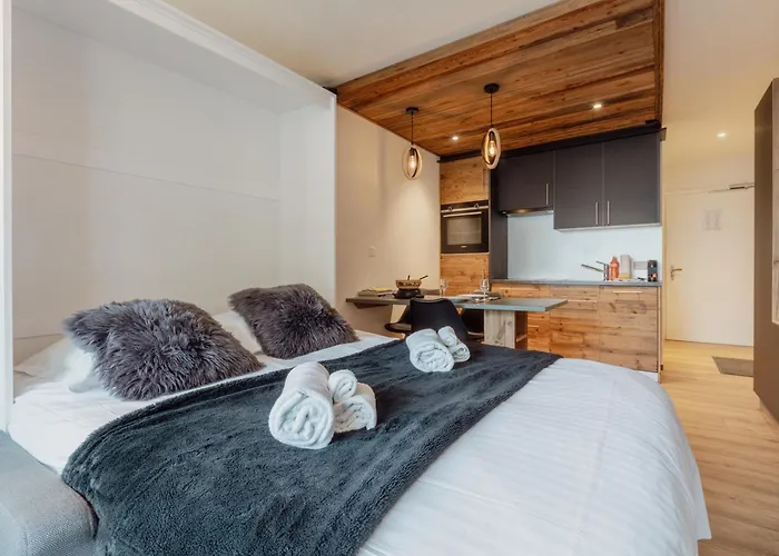 Renove Et Elegant En Plein Centre