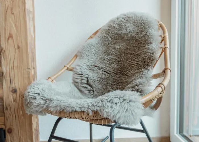 Renove Et Elegant En Plein Centre *