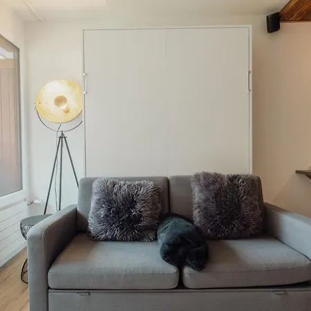 Rénové Et élégant En Plein Centre Appartement *